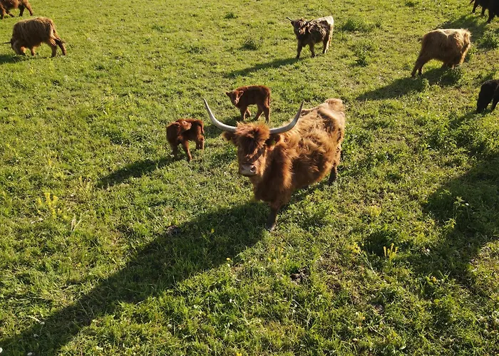 Highland Warmia - Gospodarstwo Agroturystyczne