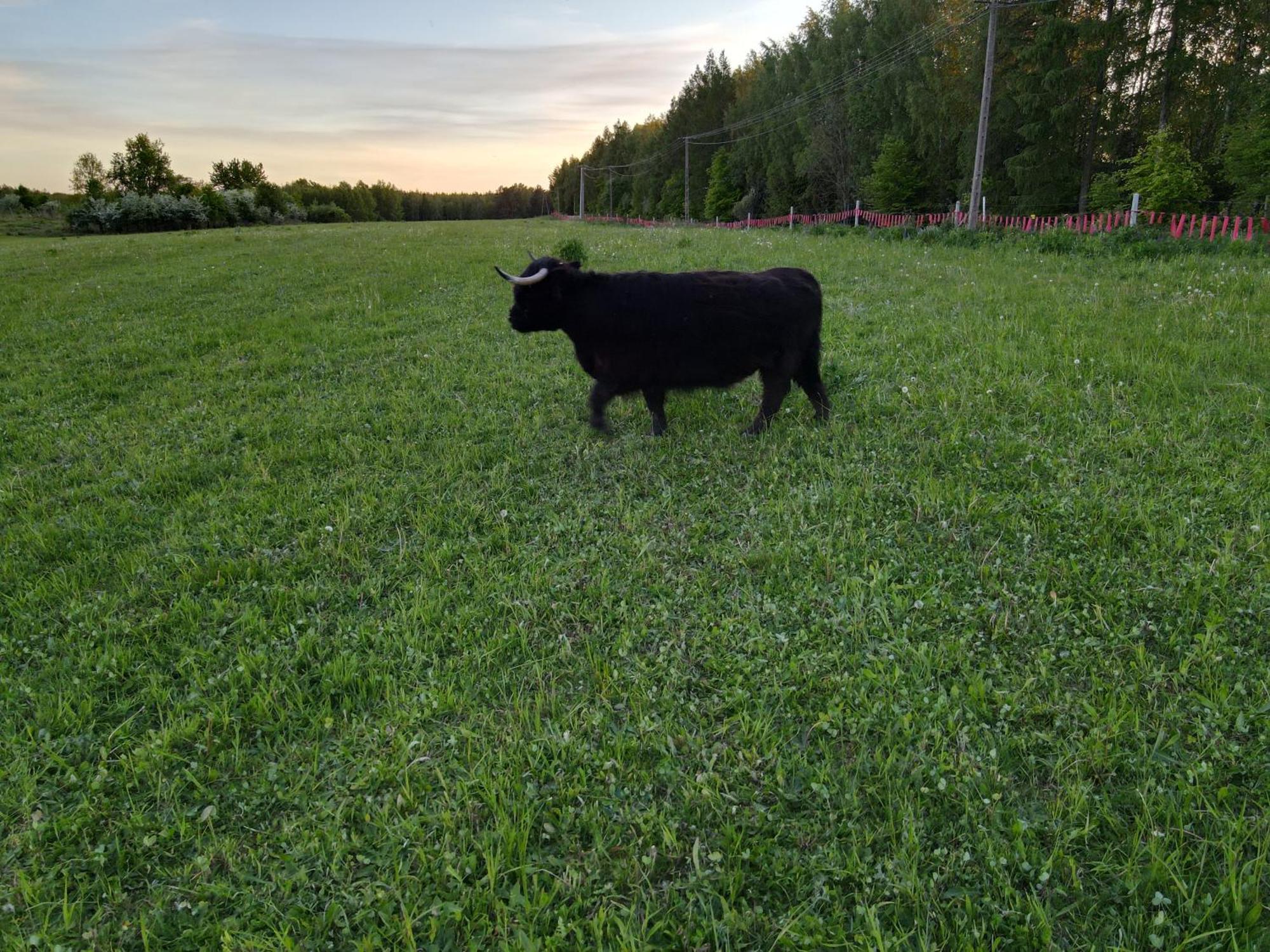 Highland Warmia - Farm stay Jeziorany